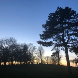 Adey mearey: A Life of Love & Laughter