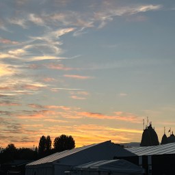 Gems of the season: Autumn to winter solstice