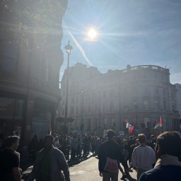 lately in the matrix